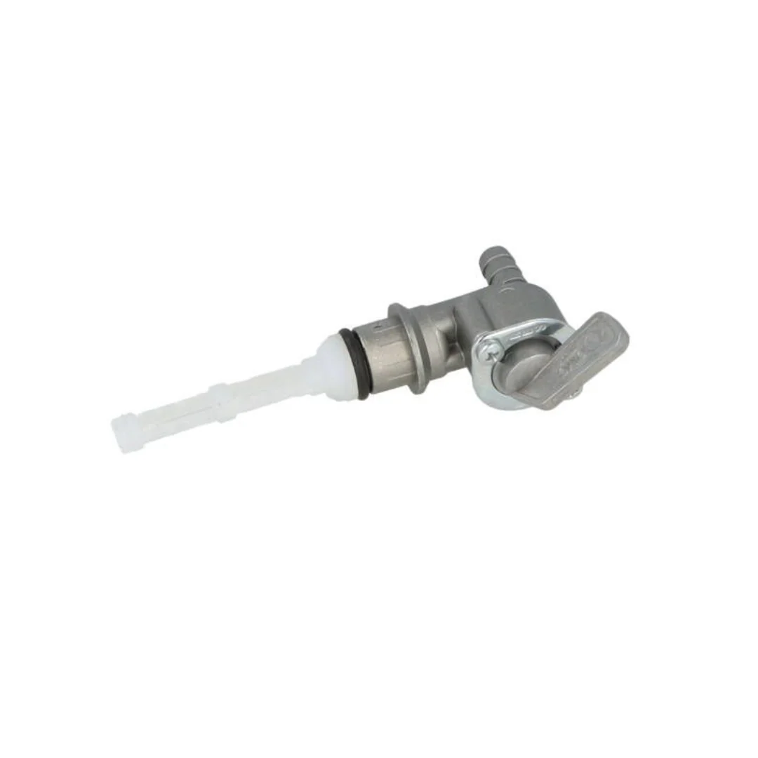 Miniatuur 1