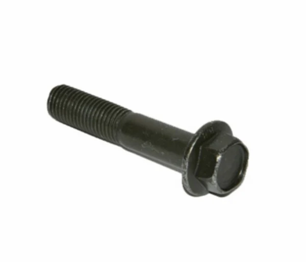 Miniatuur 1
